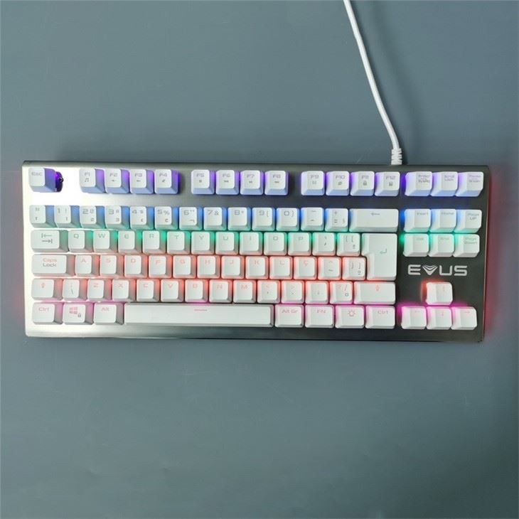 Kabellose mechanische 87-Tastatur-Maus, RGB-Hintergrundbeleuchtung, kabelgebunden, Staubschutz für Schreibmaschine
