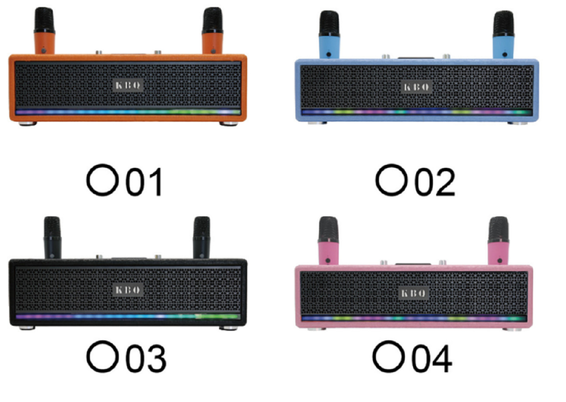 Dual LTK53101 Verstärker 2,5-Zoll-Full-Range-Lautsprecher 40mm Tweeter 2400mAh Batterie LED-Lichtstreifen mit Metallgitter BT 5.3