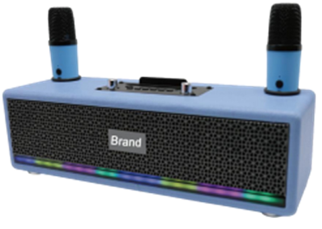 Dual LTK53101 Verstärker 2,5-Zoll-Full-Range-Lautsprecher 40mm Tweeter 2400mAh Batterie LED-Lichtstreifen mit Metallgitter BT 5.3