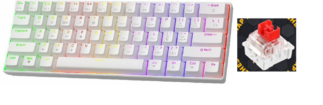 Kompakte mechanische 68-Tasten-Tastatur mit anpassbarer RGB-Hintergrundbeleuchtung, Hot-Swap-Schaltern und USB-Anschluss
