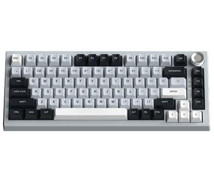 Mechanische Tastatur mit 81 Tasten, RGB-Hintergrundbeleuchtung, Typ C/2.4G/Bluetooth